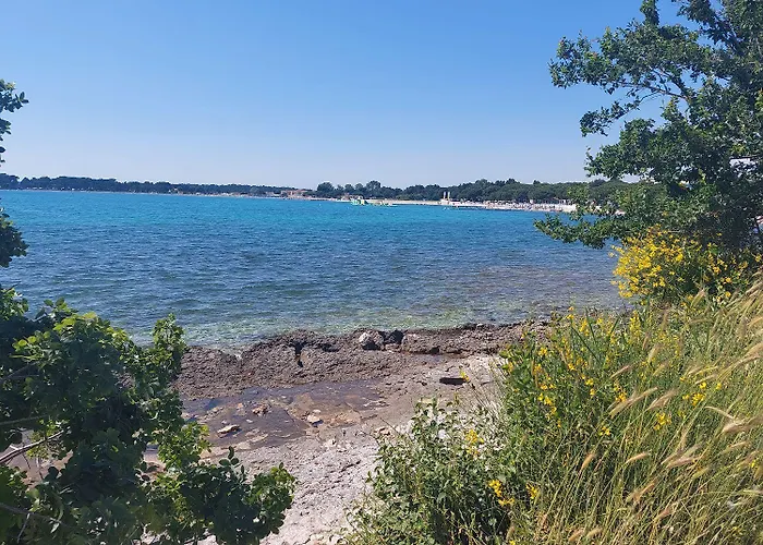 Apartament Malvazija